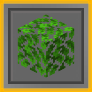 fast_leaf_decay
